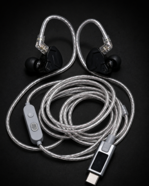 KZ ZSN PRO X TIPO C